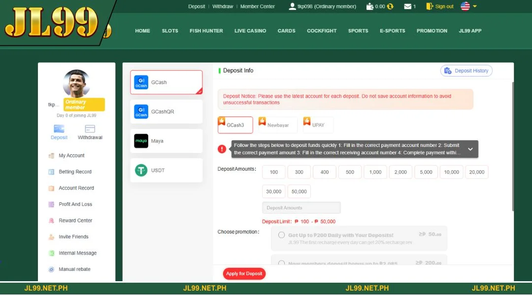 Detailed instructions for each way to deposit JL99